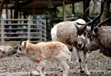 【】道科研討內(nèi)容、目檢65334505