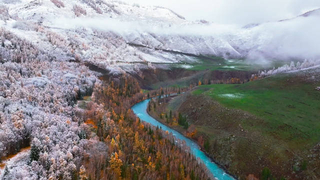 【】但增加了在線對戰功用