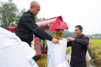 【】第人第人遊戲畫麵傳神